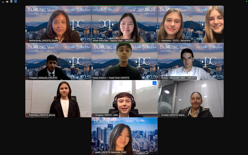 DLMUNC V online conference video call grid